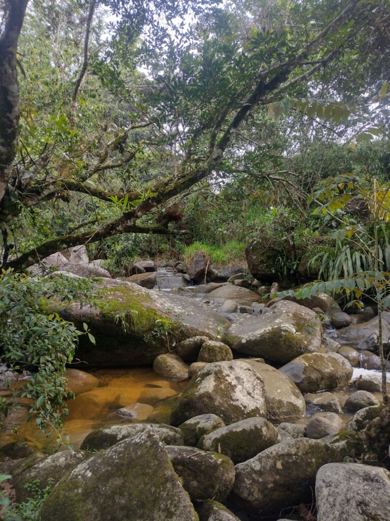 IMG_20230917_083721161_HDR
