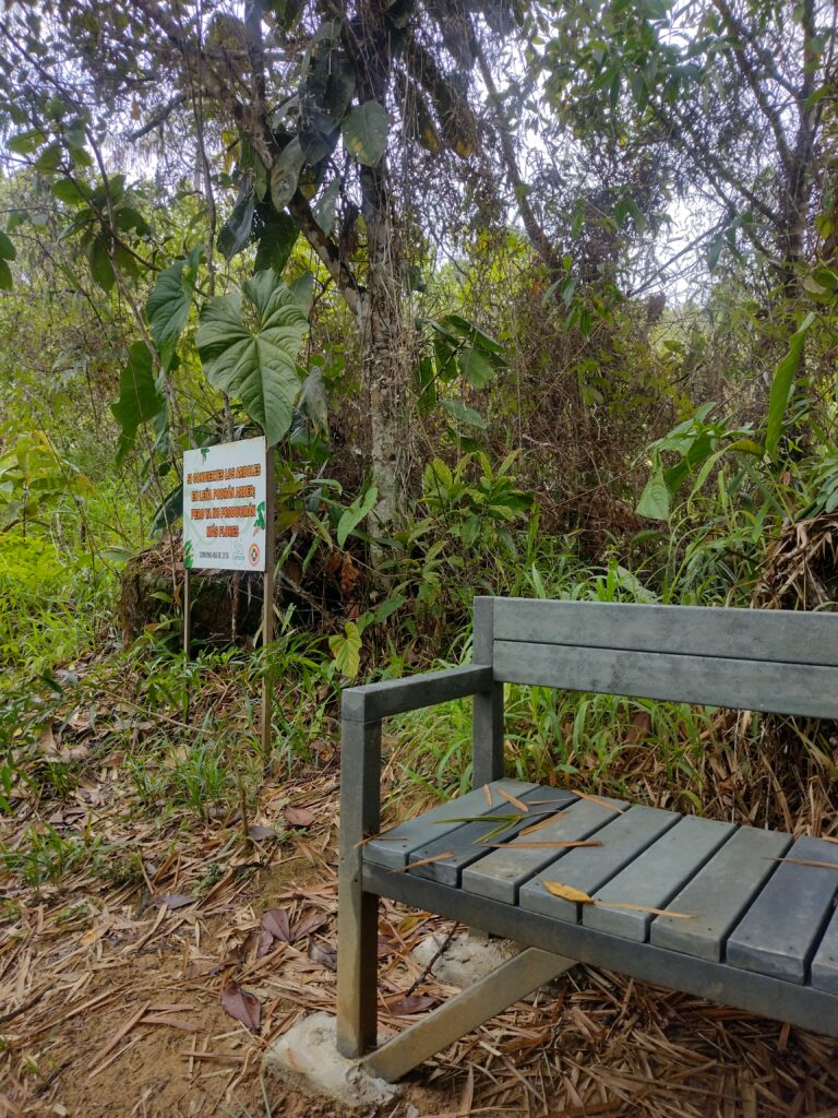 IMG_20230917_085106008_HDR
