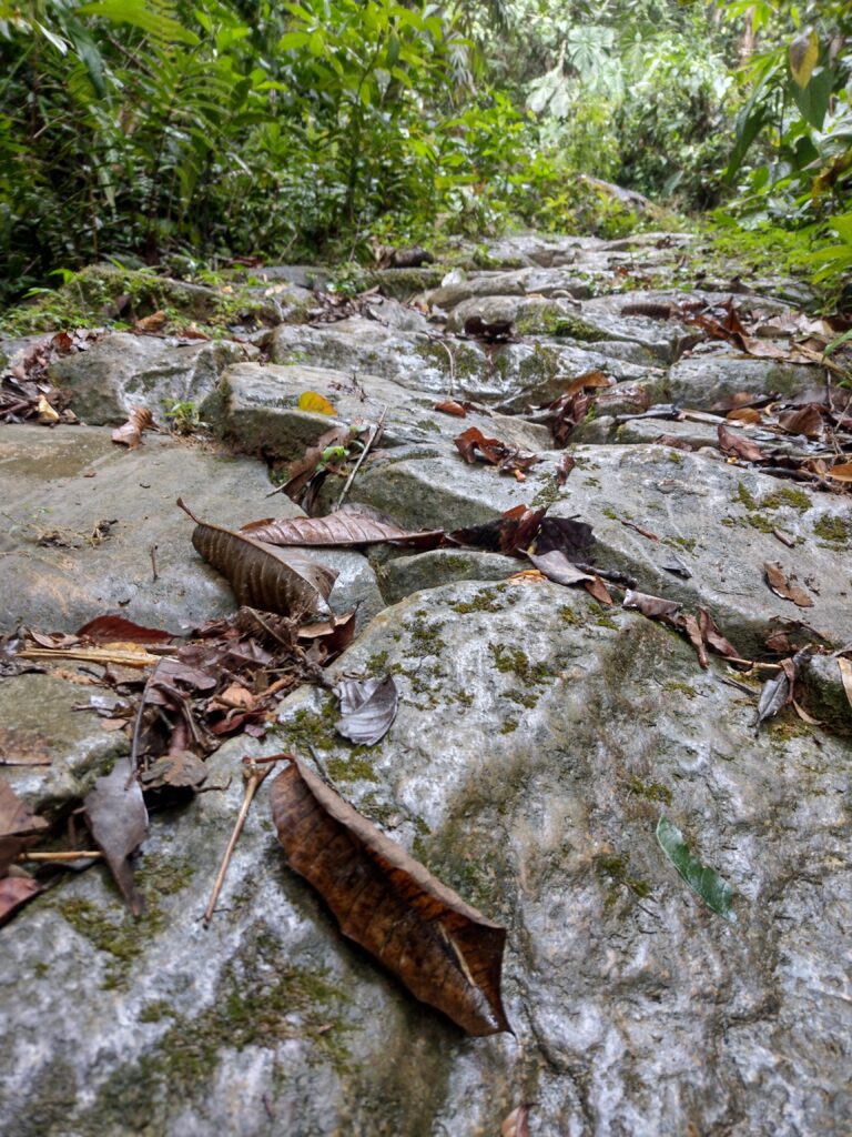 IMG_20230917_093023968_HDR