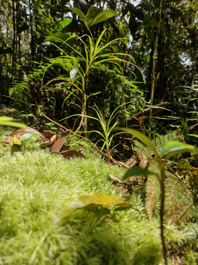 IMG_20240313_121230512_HDR (1)