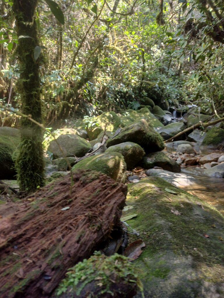 IMG_20240313_142646688_HDR (3)