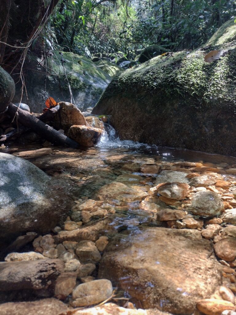 IMG_20240313_142935653_HDR (2)