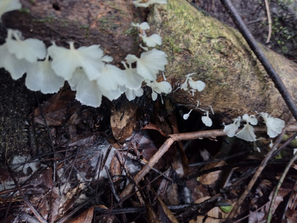 IMG_20231001_091630372_HDR